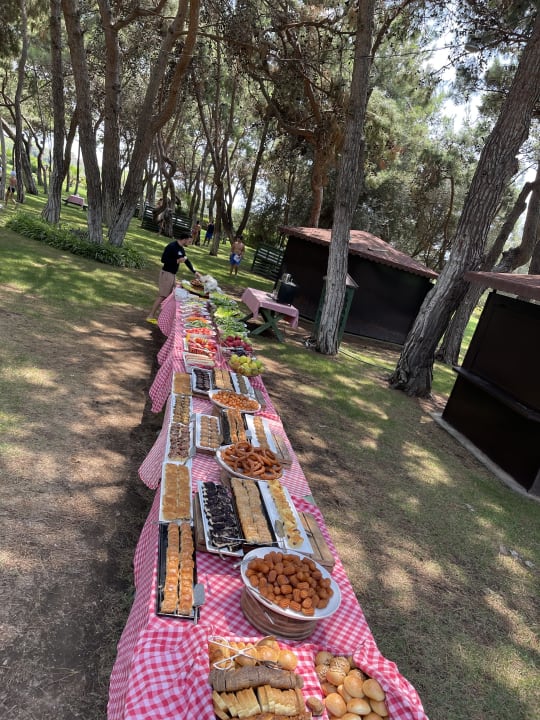 Gartenanlage Xanadu Resort Hotel