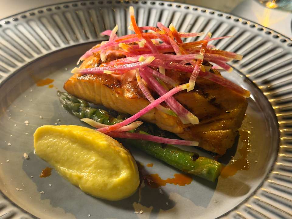 Gastro Acanthus Cennet Barut Collection