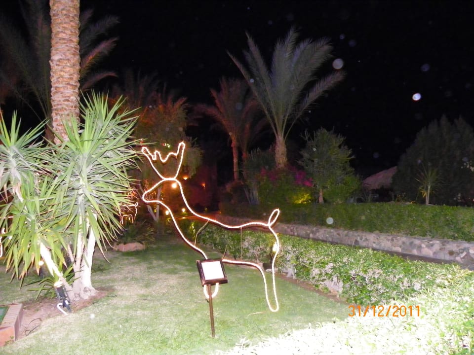 Weihnachtsbeleuchtung Jaz Makadi Oasis Resort