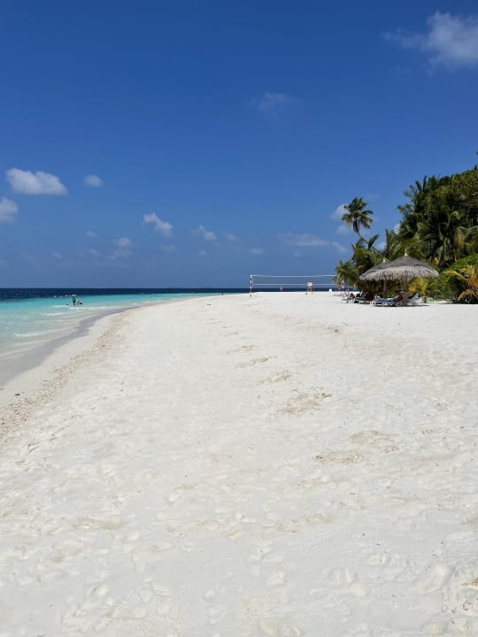 Strand Fihalhohi Maldives
