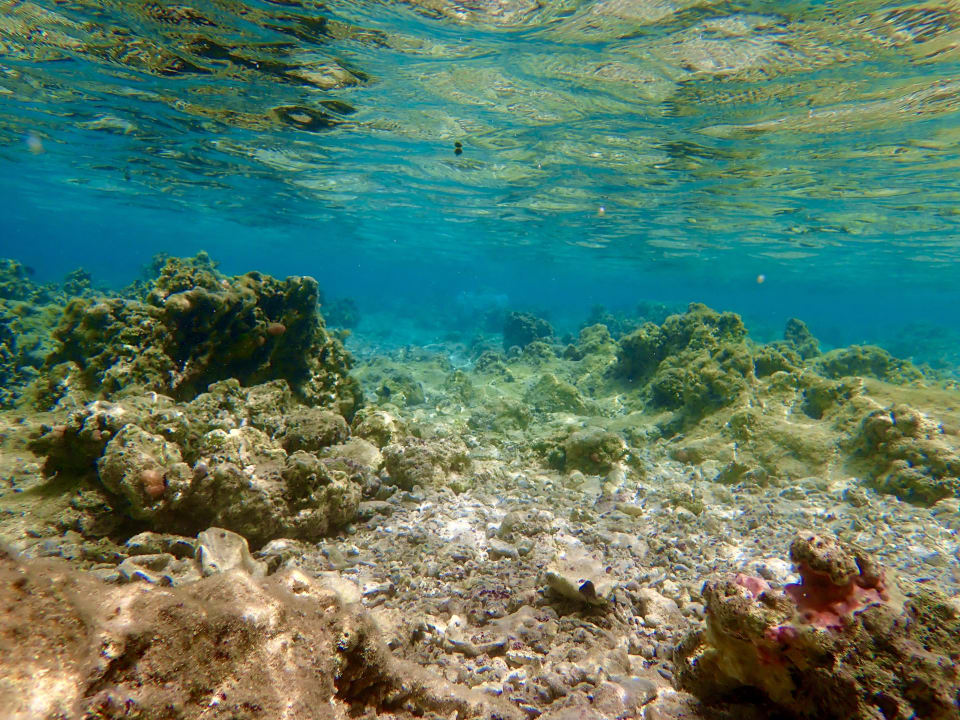 Strand Lazuli Hotel Marsa Alam