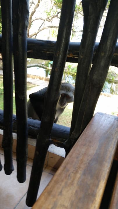 Hotel Baobab Beach Resort Baobab Beach Resort & Spa