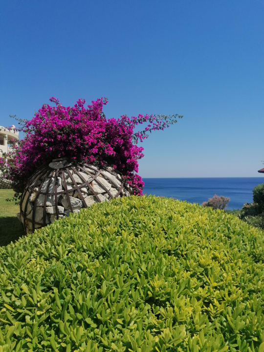 Gartenanlage Hotel Kalithea Horizon Royal