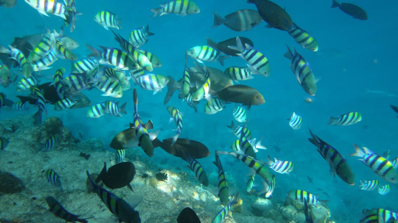 Unter Wasser  Ranveli Village