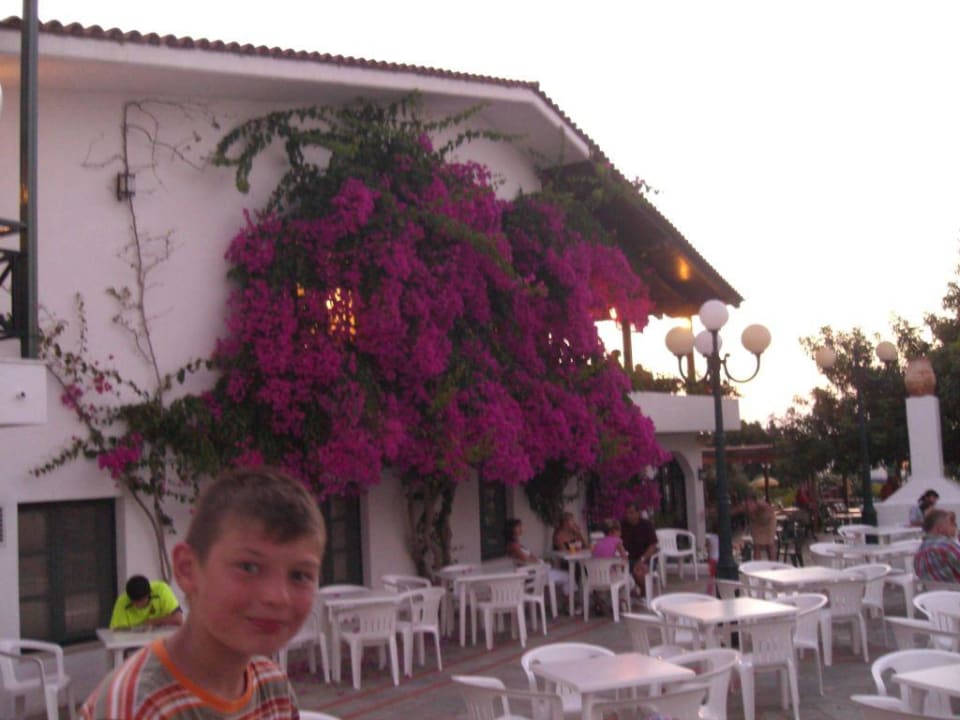 Essensaal TUI SUNEO Chrissi Amoudia