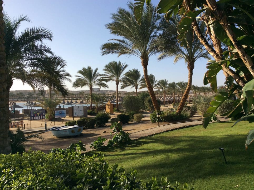 Hotel - Strand Steigenberger Coraya Beach - Adults only