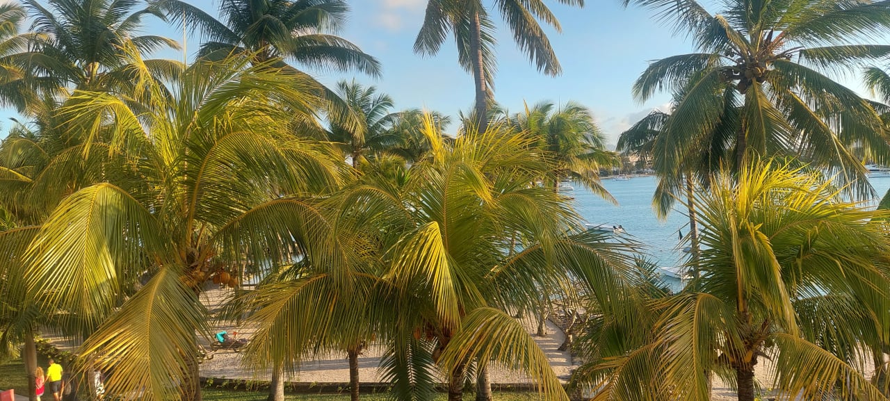 Ausblick Mauricia Beachcomber Resort & Spa