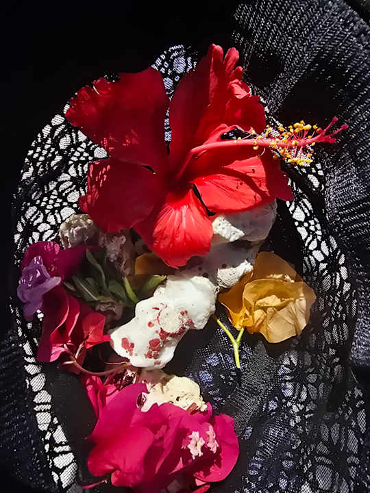 Sonstiges Bliss Nada Beach Resort