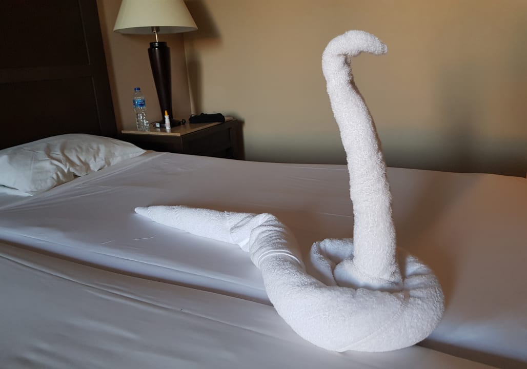 Zimmer Jaz Dar EL Madina