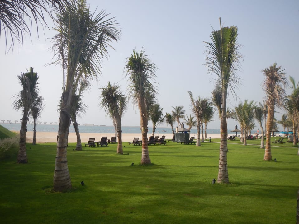 Strandblick JA Palm Tree Court