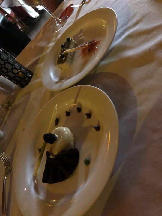 Gastro Akumal Bay Beach & Wellness Resort