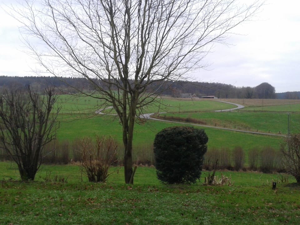 Blick aus dem Zimmer 202 Ringhotel Landhotel Buller