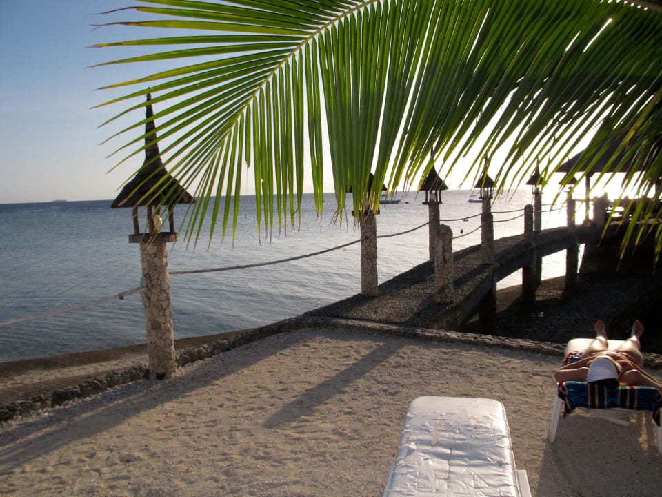 Liege am Steg Hotel Dolphin House