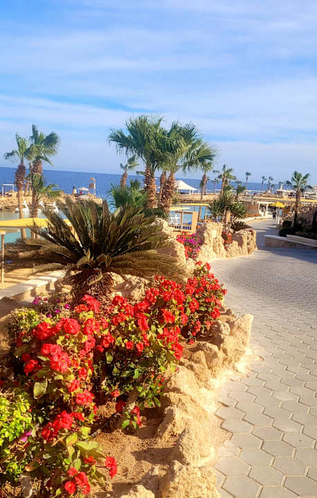 Gartenanlage Pickalbatros Citadel Resort