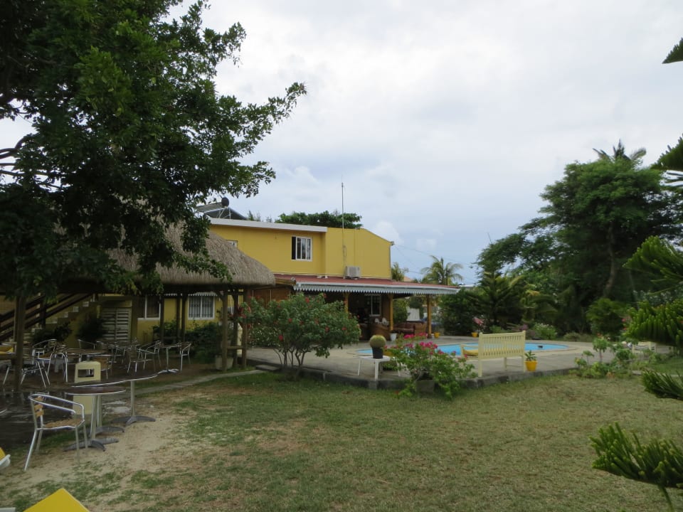 Blick auf Pool und Frühstücksterrasse Hotel La Mariposa