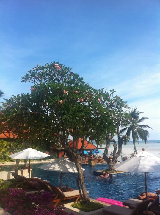Hauptpool Renaissance Koh Samui Resort & Spa