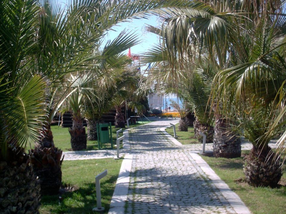 Gartenanlage Arcanus Hotels Sorgun