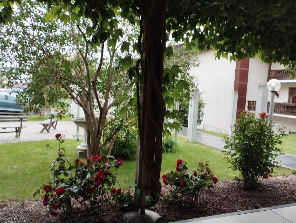 Gartenanlage Landhotel Rosenberger