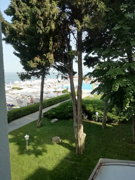 Ausblick AluaSun Helios Beach