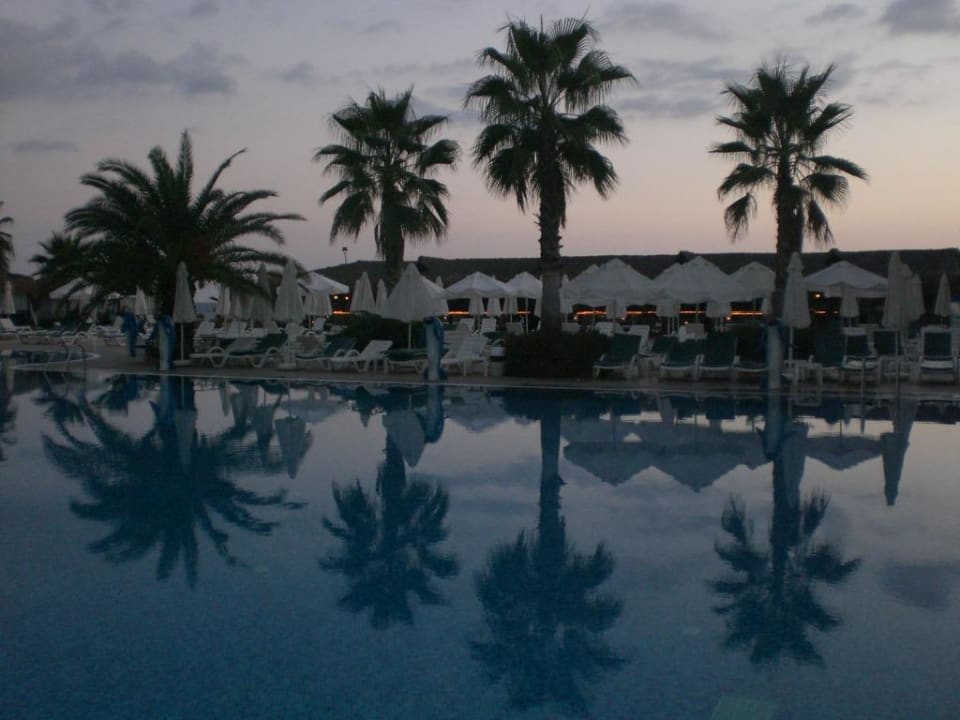 Dämmerung Botanik Hotel & Resort