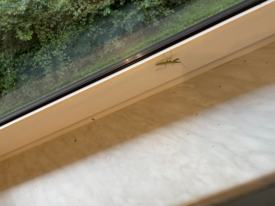 Zimmer Hotel Sonnenhügel