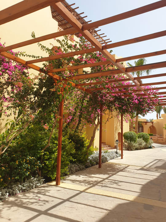 Gartenanlage Steigenberger Coraya Beach - Adults only