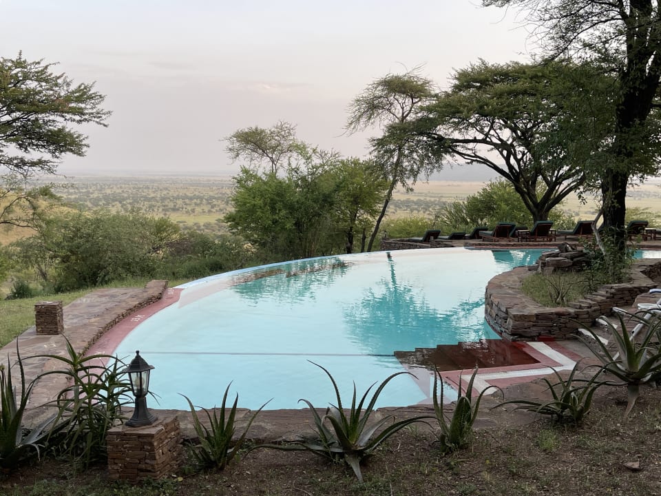 Pool Serengeti Serena Safari Lodge