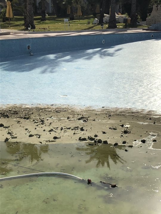 Pool Mahdia Beach & Aquapark