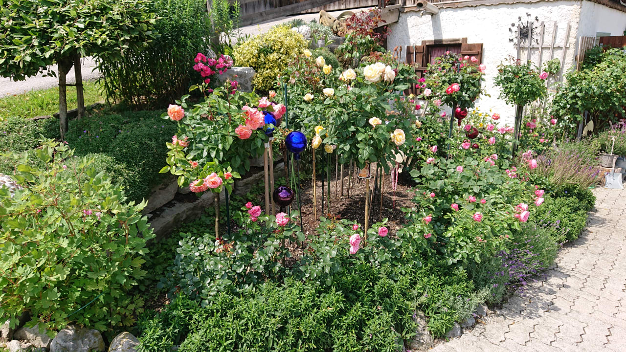 Gartenanlage Ferienwohnungen Dankllehen
