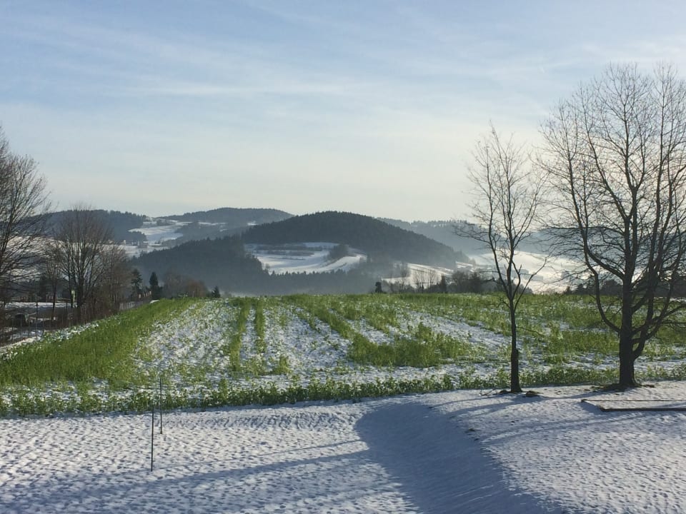 Ausblick Landhotel Rosenberger