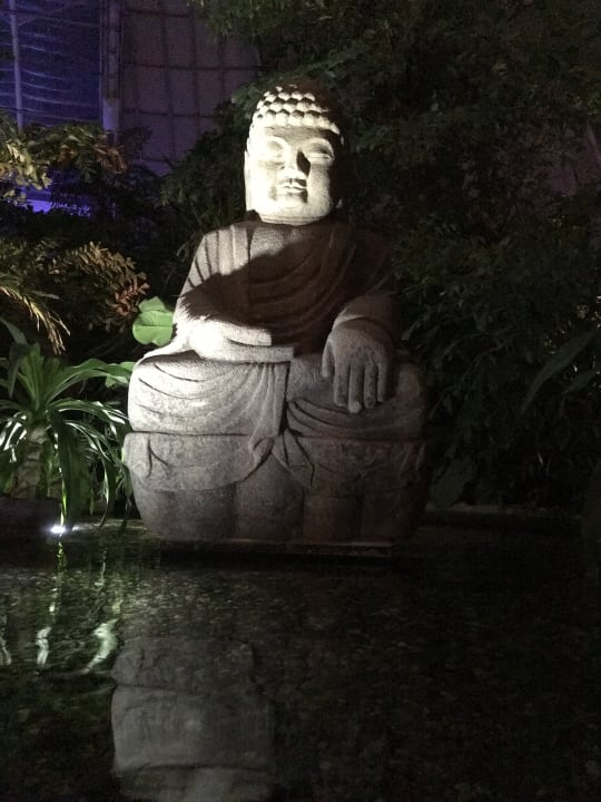 Gartenanlage Tropical Islands Resort