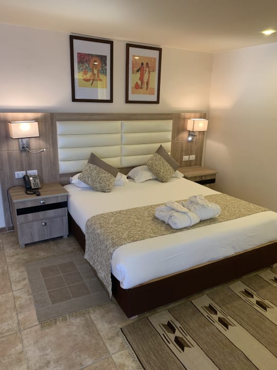 Zimmer Pickalbatros Citadel Resort