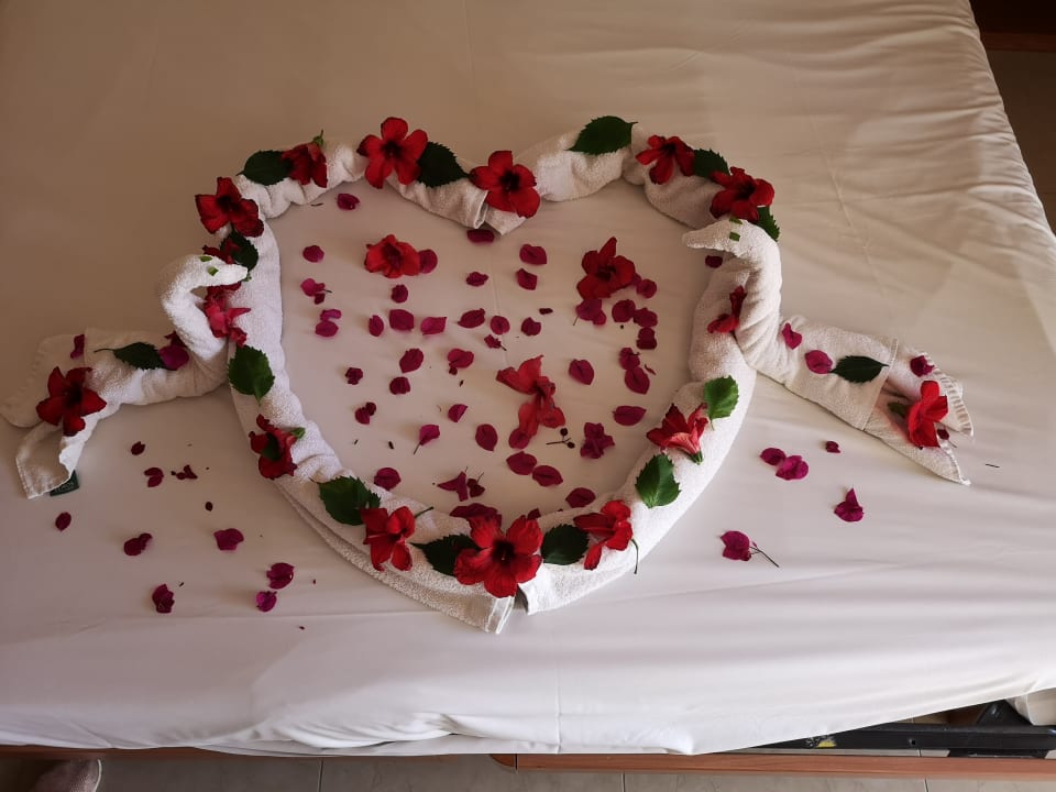 Zimmer Apollon Hotel