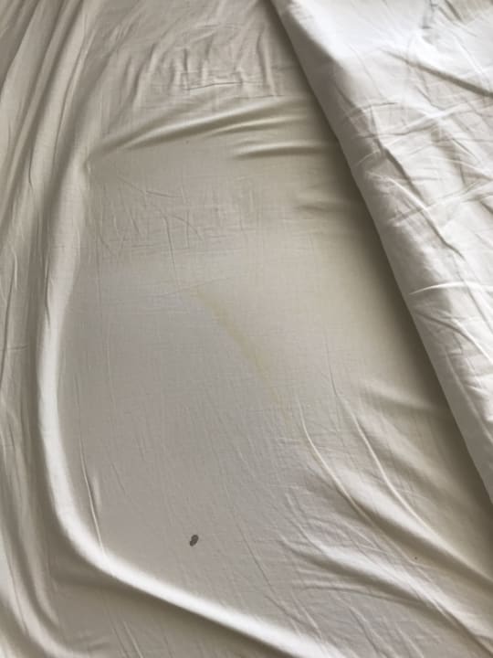 Zimmer Effect Grand Victoria Hotel