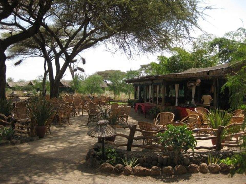 Bar Kibo Safari Camp