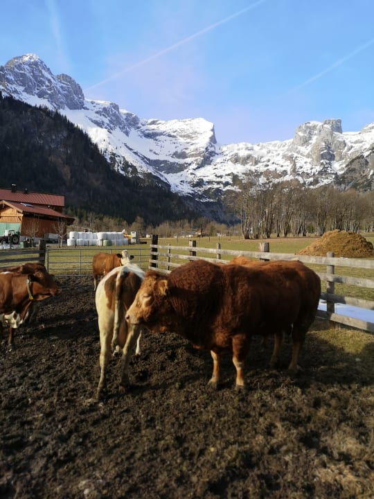 Sonstiges Bauernhof Vorderoberlehen