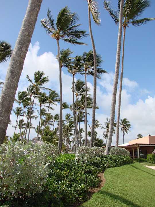 Strand Secrets Royal Beach Punta Cana - Adults only