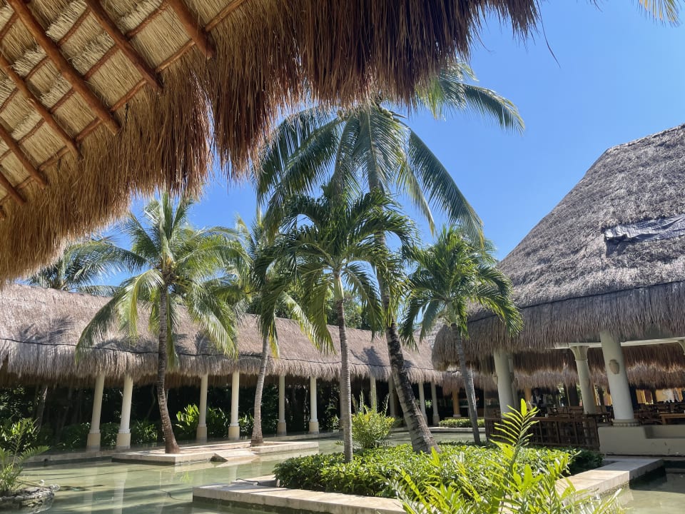 Gartenanlage Iberostar Waves Paraiso Beach