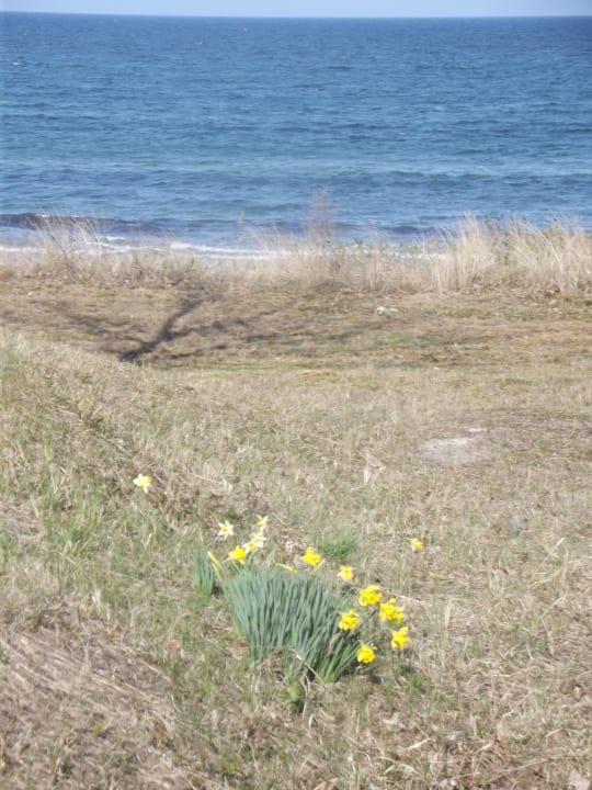 Frühlingserwachen Rugard Thermal Strandhotel