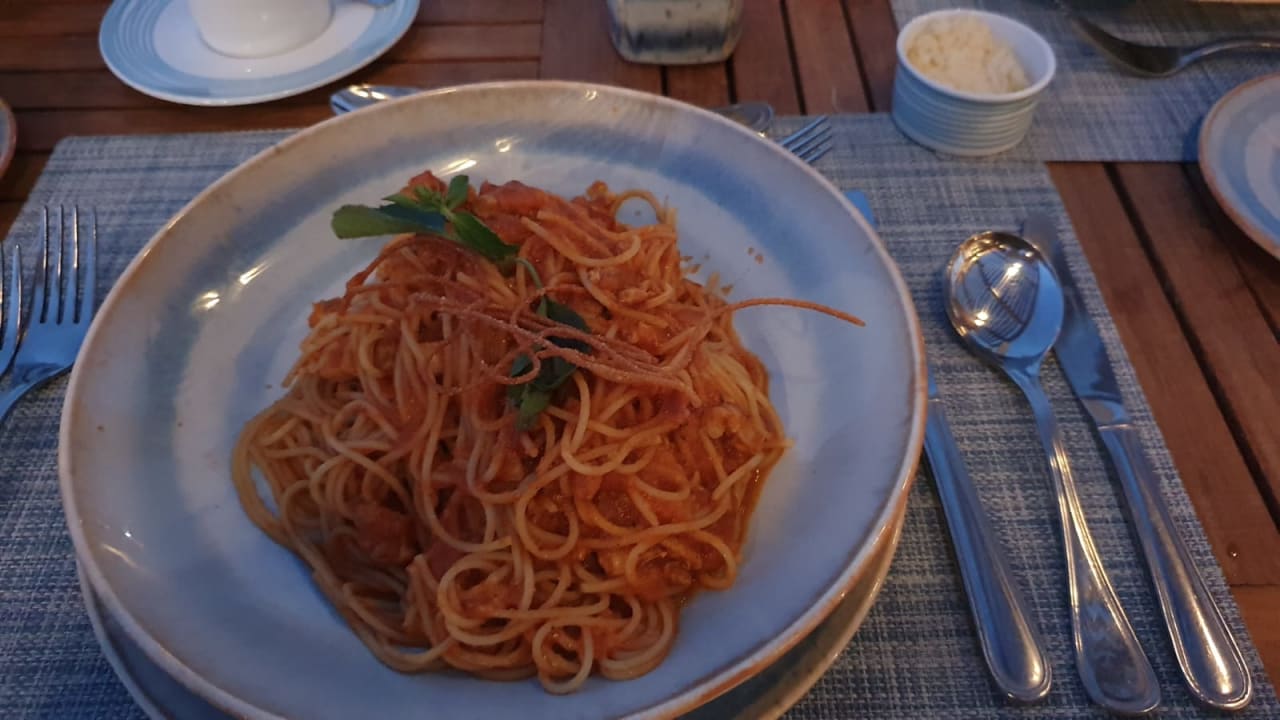 Gastro JAZ Elite Amara