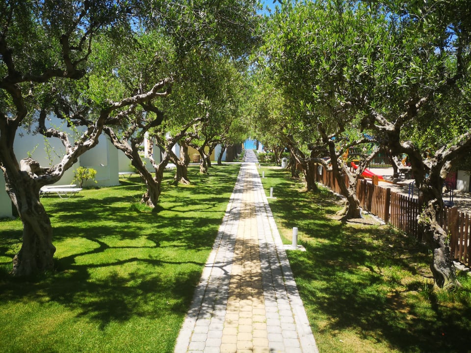 Gartenanlage TUI KIDS CLUB Alex Beach