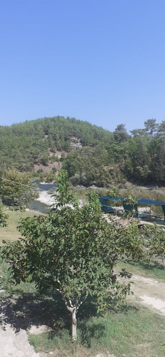 Sonstiges allsun Numa Club Side