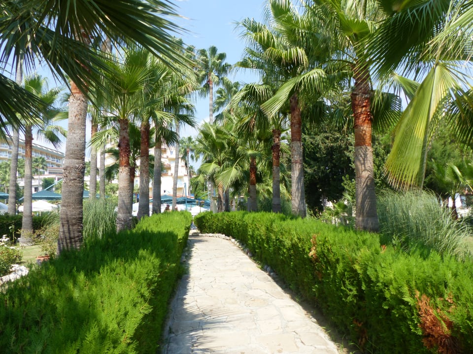 Gartenanlage Iz Flower Side Beach Hotel