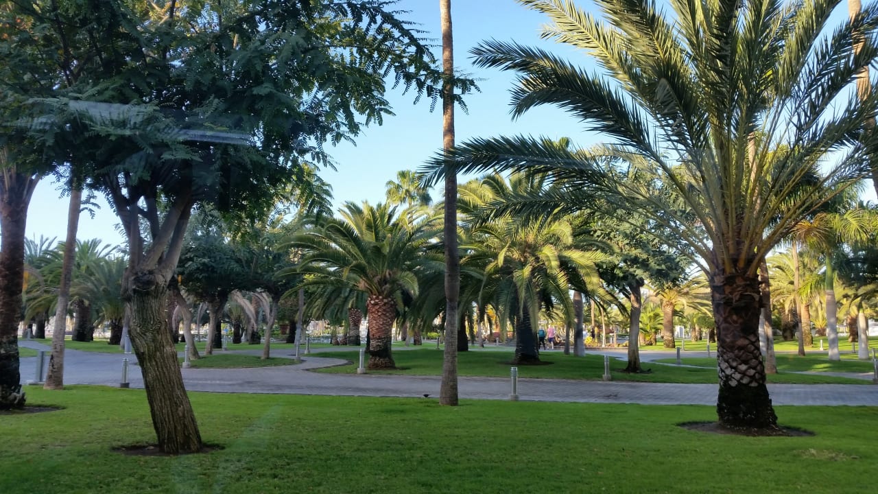 Gartenanlage Hotel Riu Gran Canaria