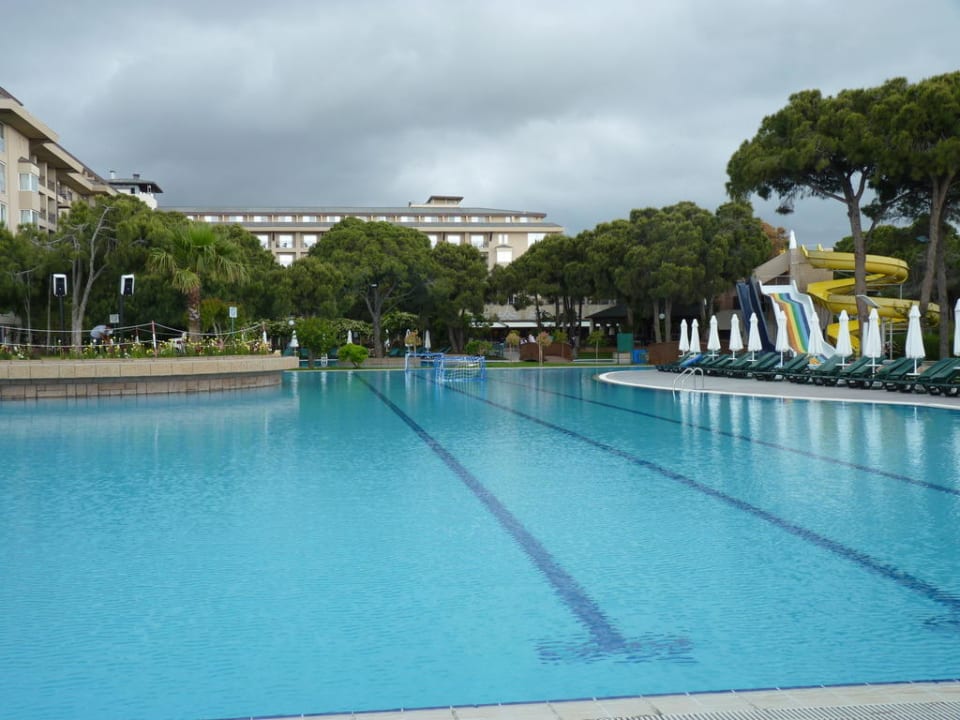 Ciel menaçant Papillon Ayscha