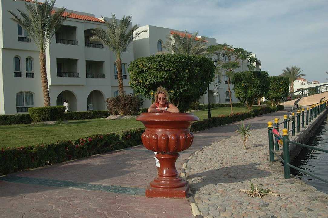 Bloempot  Pickalbatros Dana Beach Resort - Hurghada