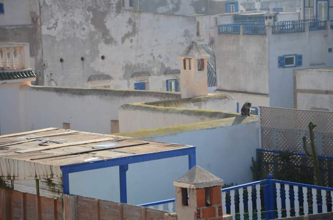 Widok z tarasu na miasto Riad Sidi Magdoul