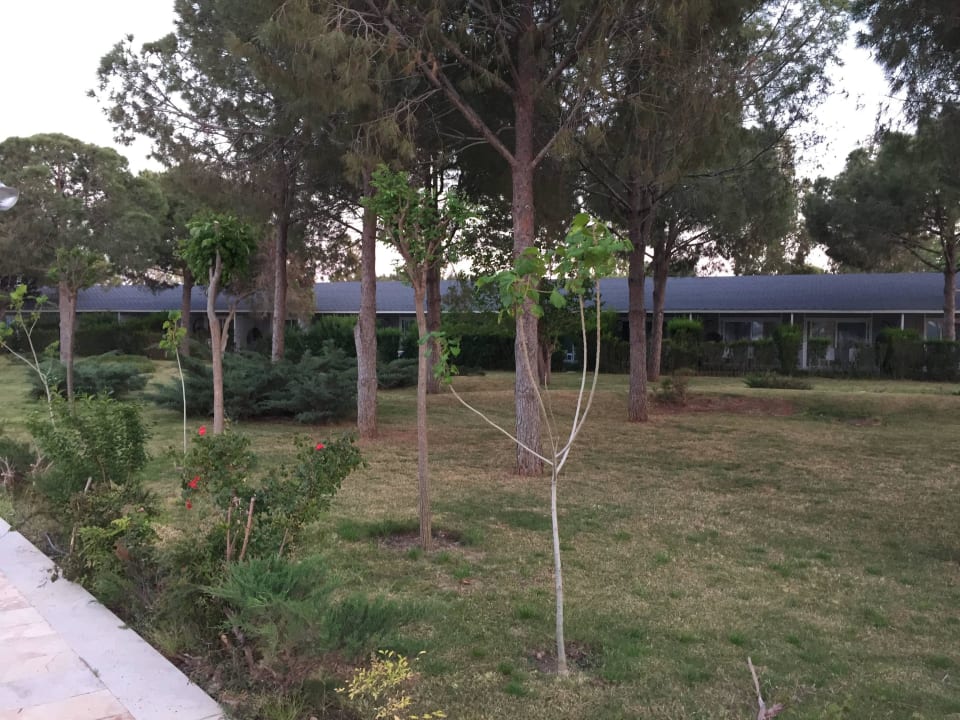 Strandzimmer Venosa Beach Resort & Spa