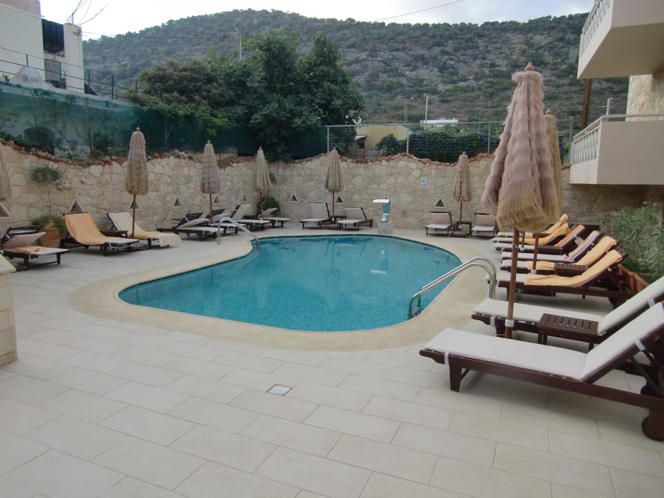 Relaxpool Cactus Royal