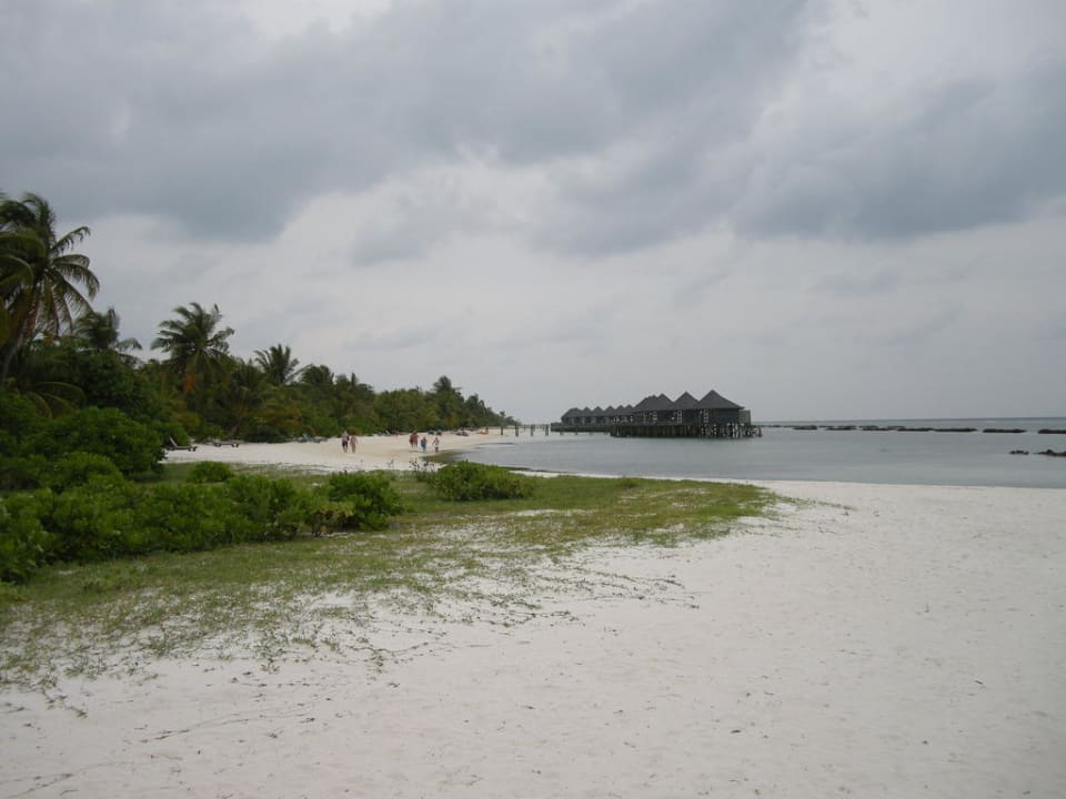 Strand Beach Bungalows Kuredu Kuredu Island Resort & Spa